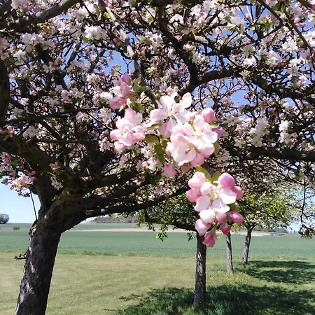 Σπίτι διακοπών Cilla *