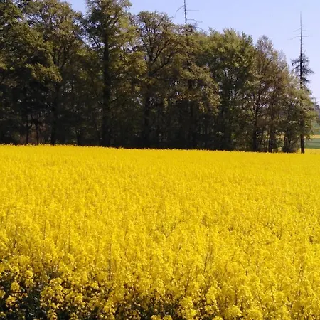 Сasa de vacaciones Cilla Beltheim