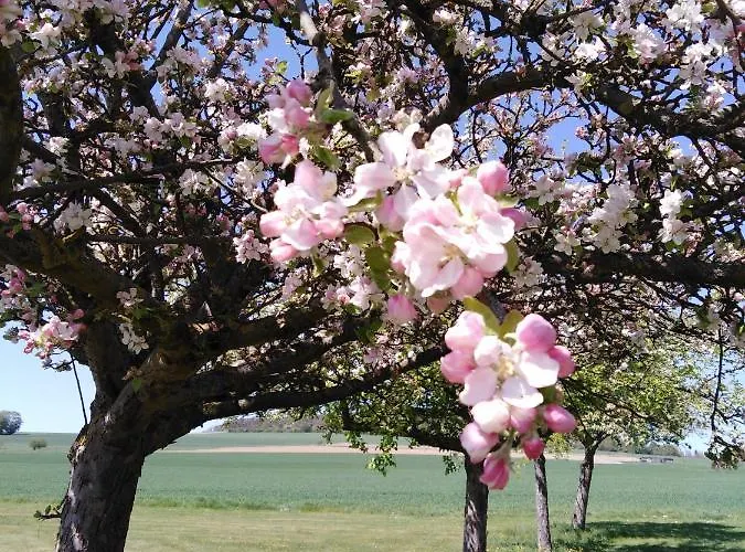 Dom wakacyjny Cilla *