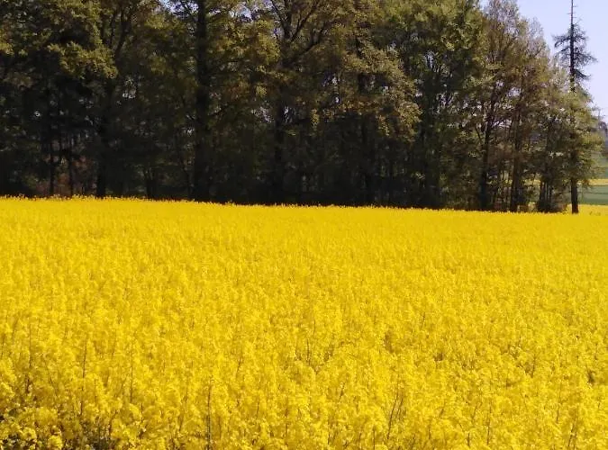 Dom wakacyjny Cilla Beltheim