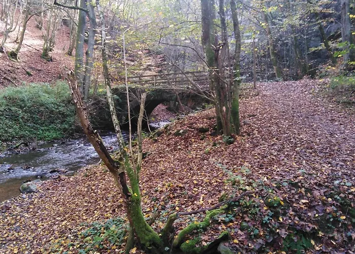 Dom wakacyjny Cilla *